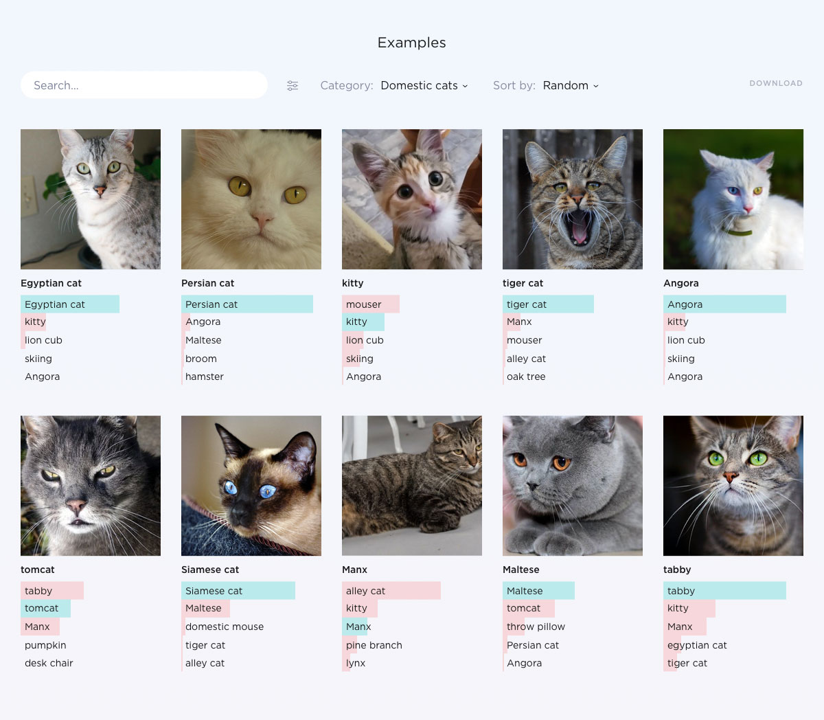 A section of a mockup of a page detailing a machine learning model focused on image recognition