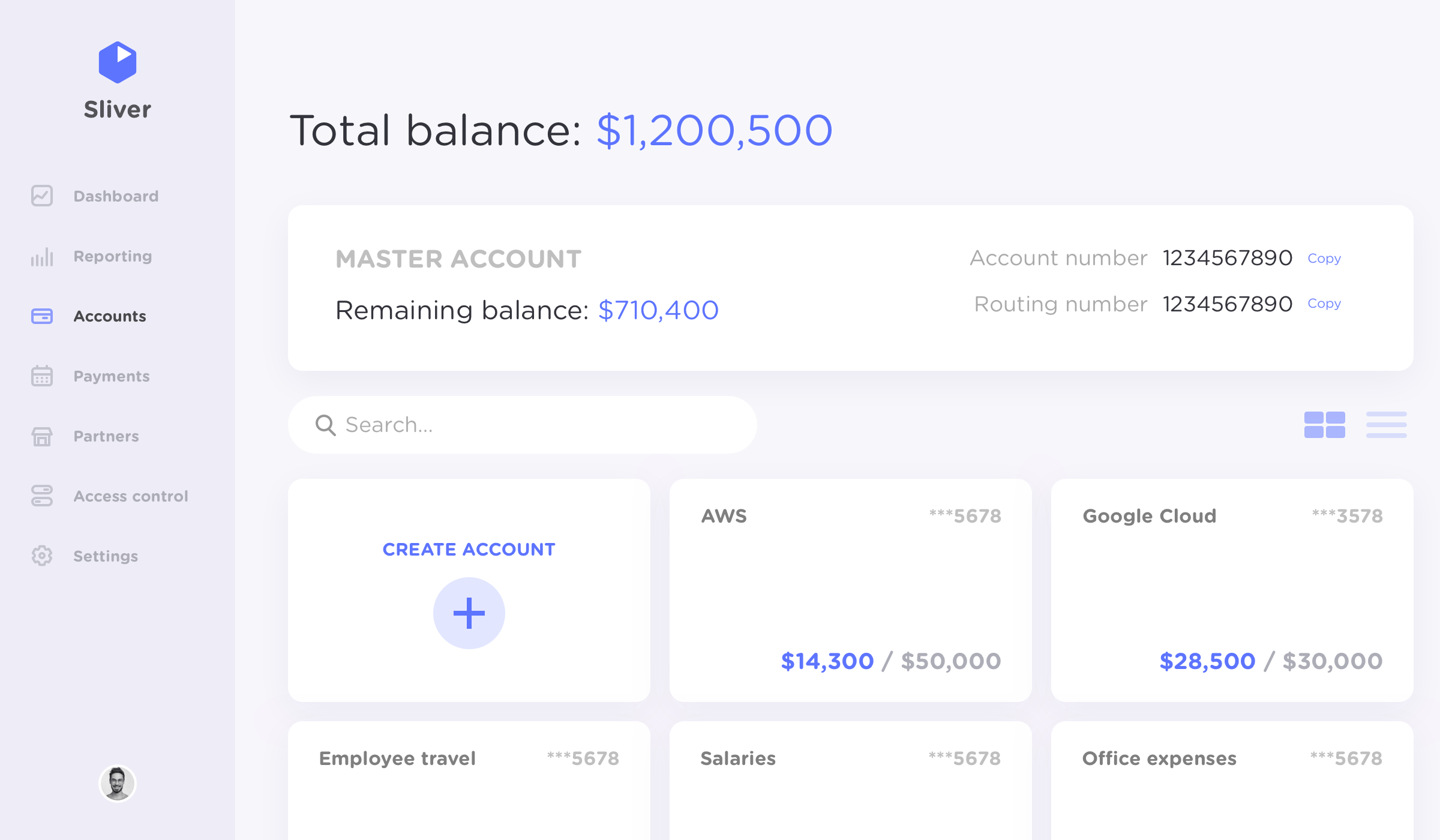 A mockup of the Accounts page showing lots of virtual accounts