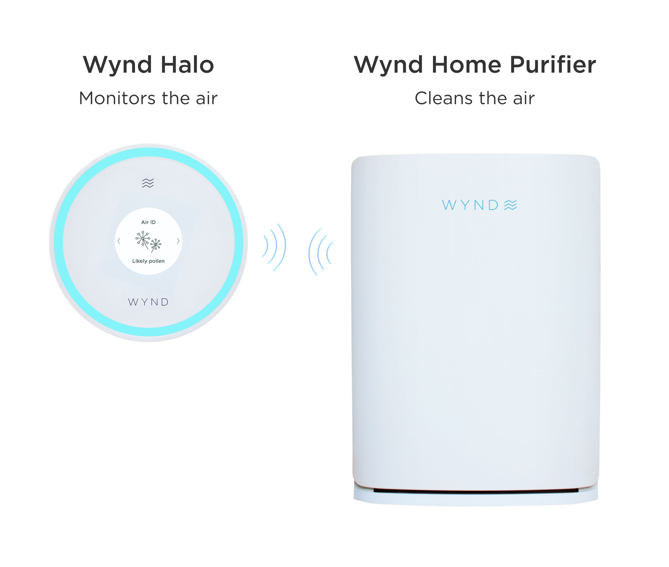 Graphic showing the technical features of the Wynd Halo and the Wynd Home Purifier